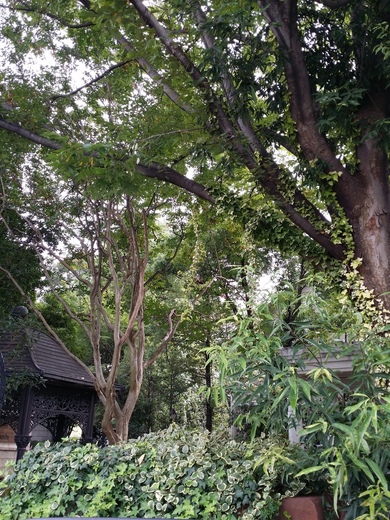 20150921_135454.jpg
