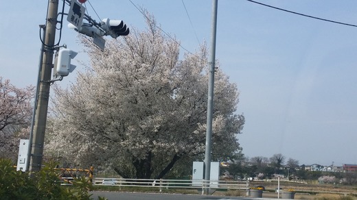 20160406_092953.jpg