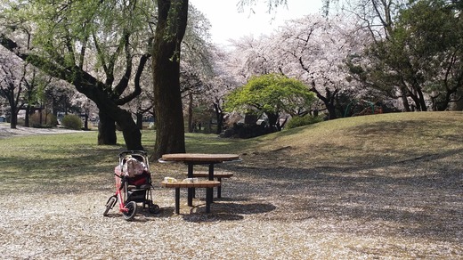 20160406_094453.jpg